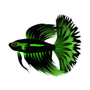 Neon Stripe Betta